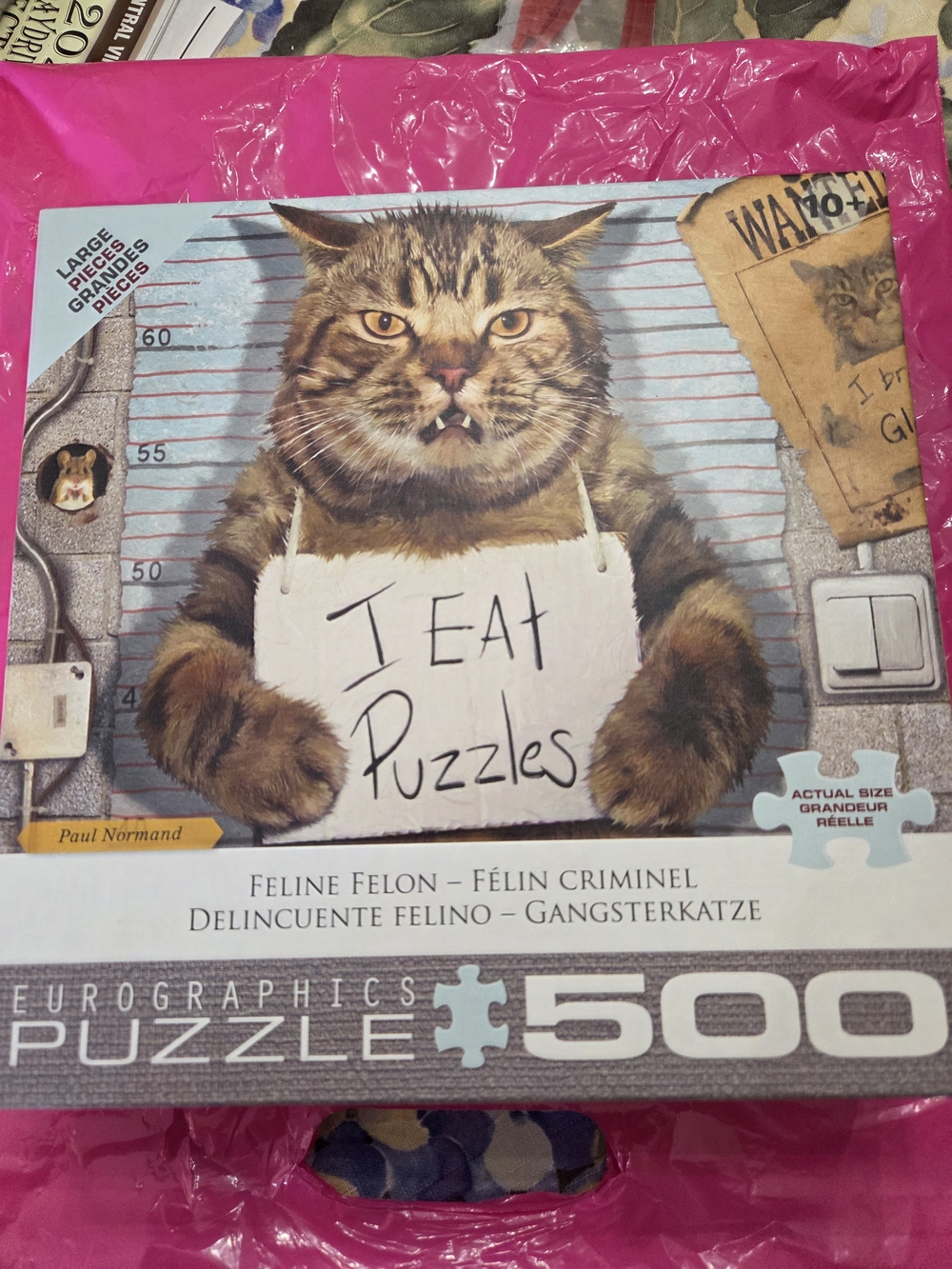 500-Piece Puzzle - Feline Felon (Brown)